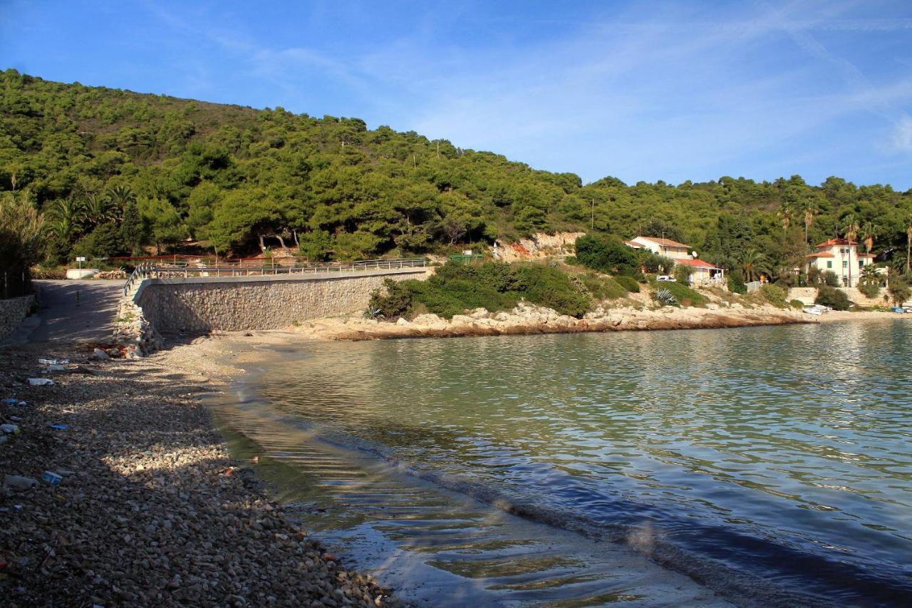 Apartments By The Sea Milna, Vis - 8895 Rukavac  Eksteriør billede
